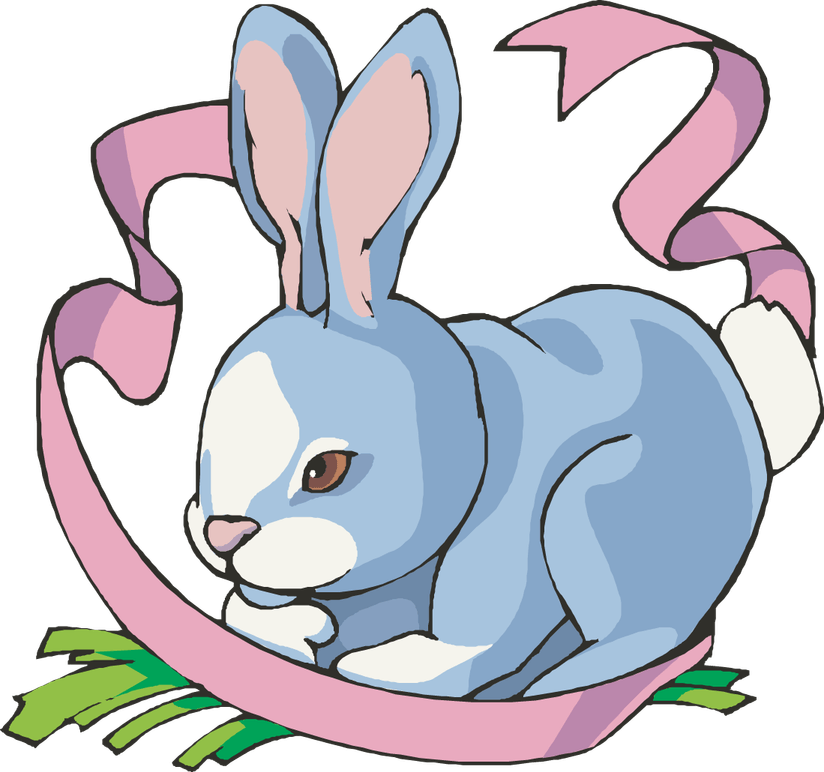 Cartoon Bunny PNG