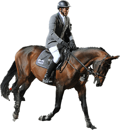 Ludger Beerbaum PNG