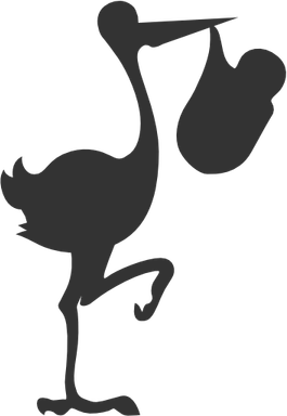 Stork Baby PNG