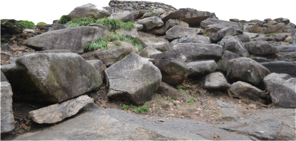 Stone PNG