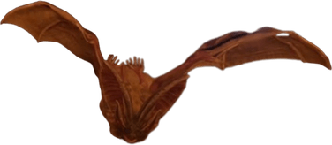 Giant Bat PNG