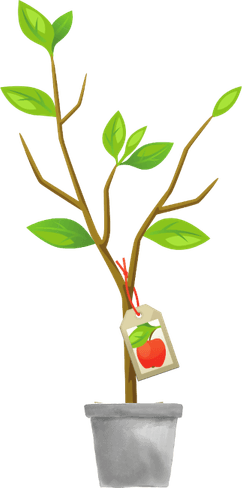 Home Tree PNG