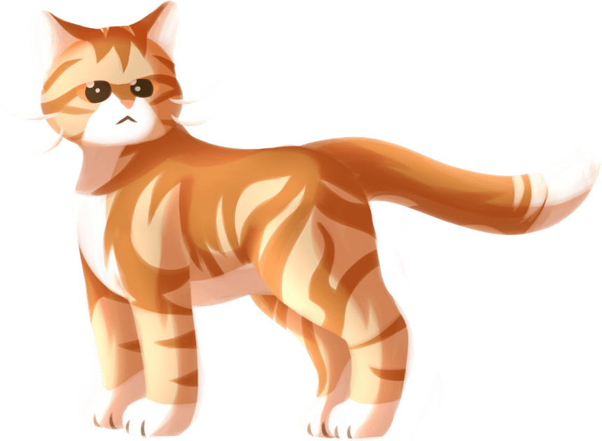 Orange Cat PNG