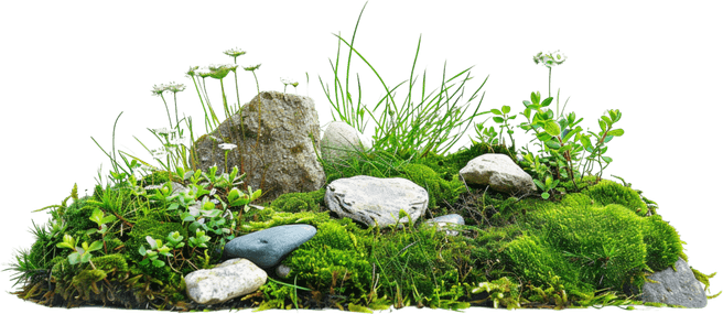 Stone With Grass PNG