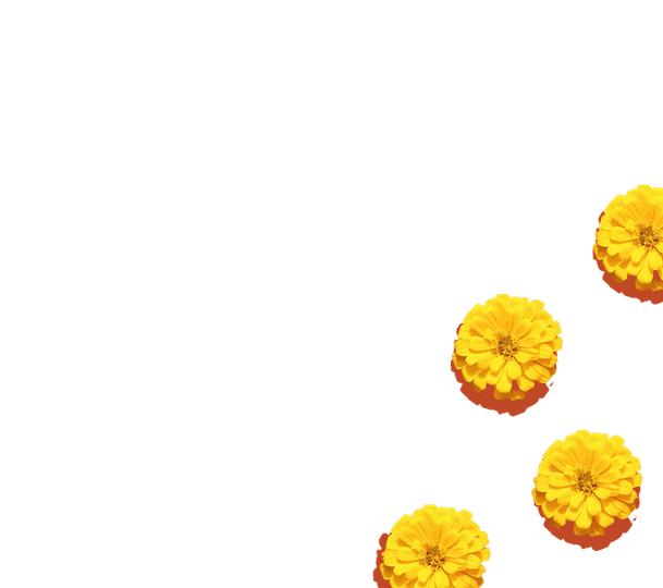 Onam Yellow Flower PNG