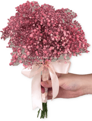 Babys Breath PNG