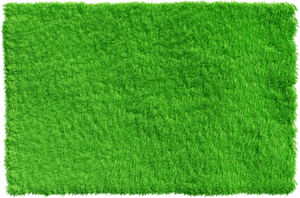 Green Carpet Grass PNG