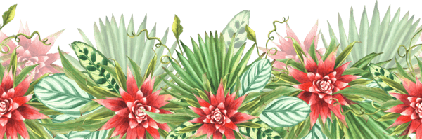 Tropical Leaves Border PNG