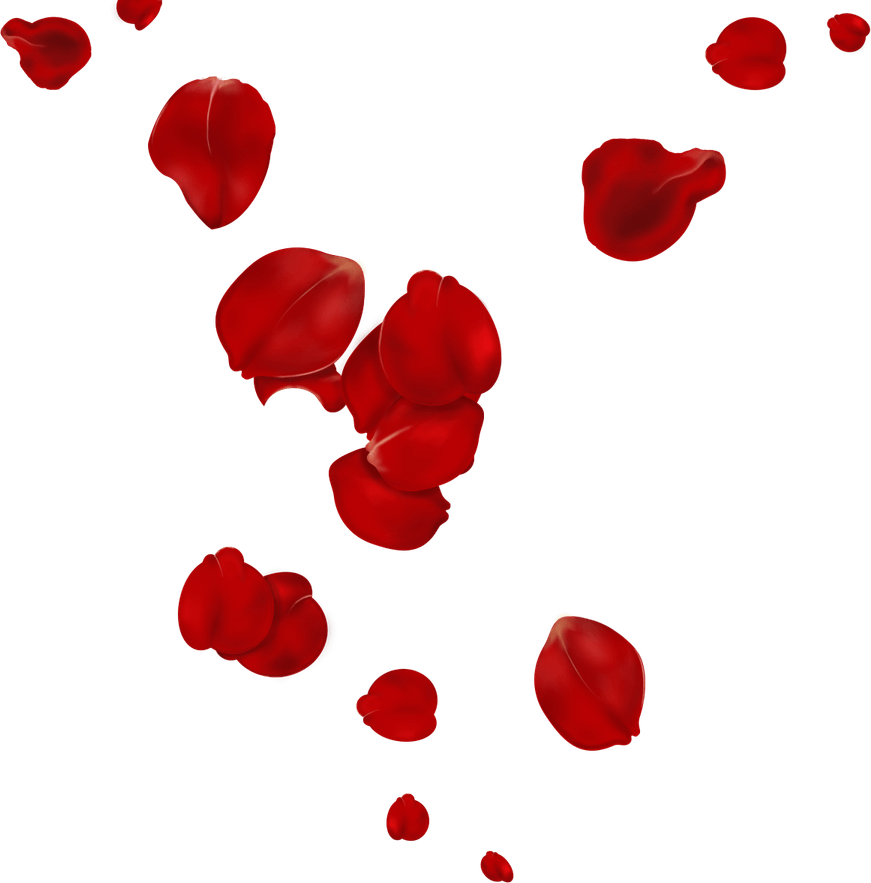 Petals PNG