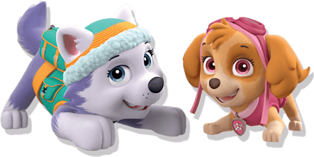Paw Patrol Skye PNG