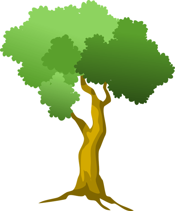 Arbol PNG