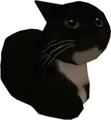 Maxwell The Cat PNG