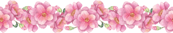 Shubh Vivah Flower Border PNG