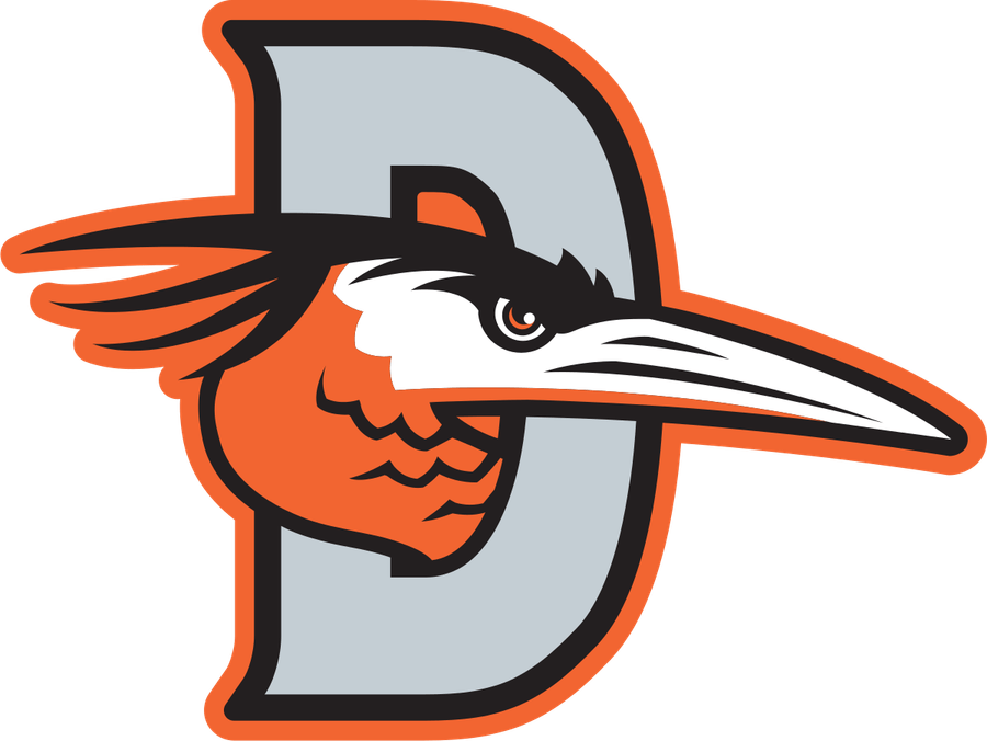 Delmarva Shorebirds PNG