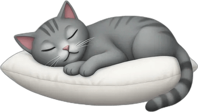 Pillow Cat PNG