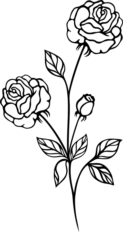 Black And White Roses PNG