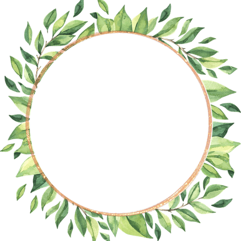 Leaves Frame PNG