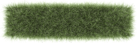 Top View Grass PNG
