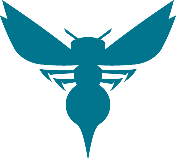 Charlotte Hornets PNG