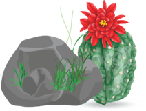 Stone With Grass PNG