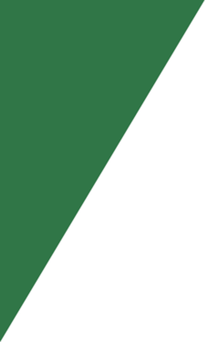 Green Banner PNG