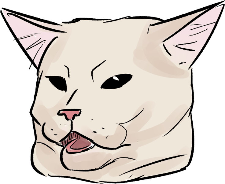 Crying Cat Memes PNG