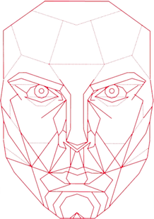 Perfect Face Template PNG