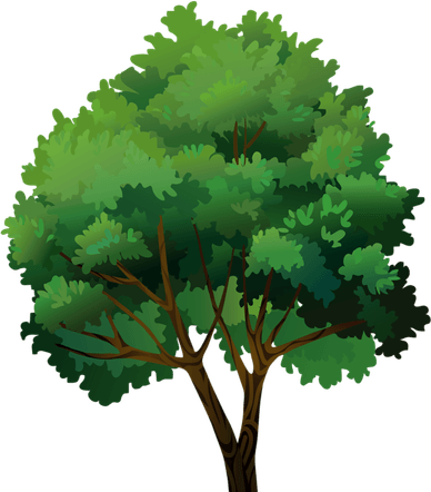 Anime Tree PNG