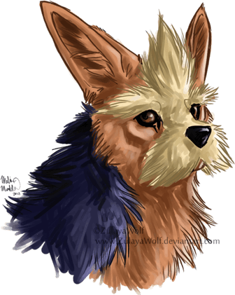 Herdier Pokemon PNG