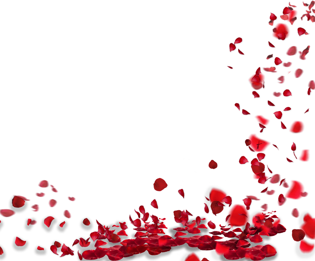Petals PNG