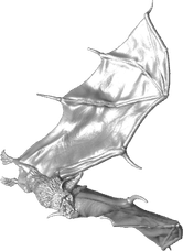 Giant Bat PNG