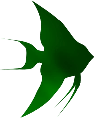 Baby Shark Green PNG