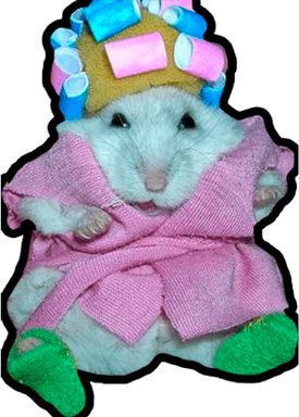 Hamster Peace Sign Meme PNG