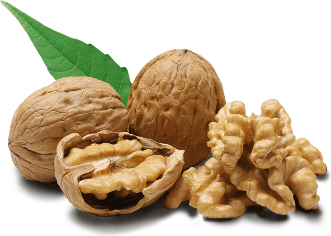 Dry Fruit PNG