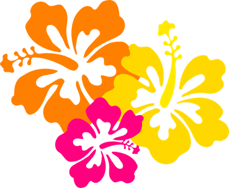 Hawaii Flower PNG