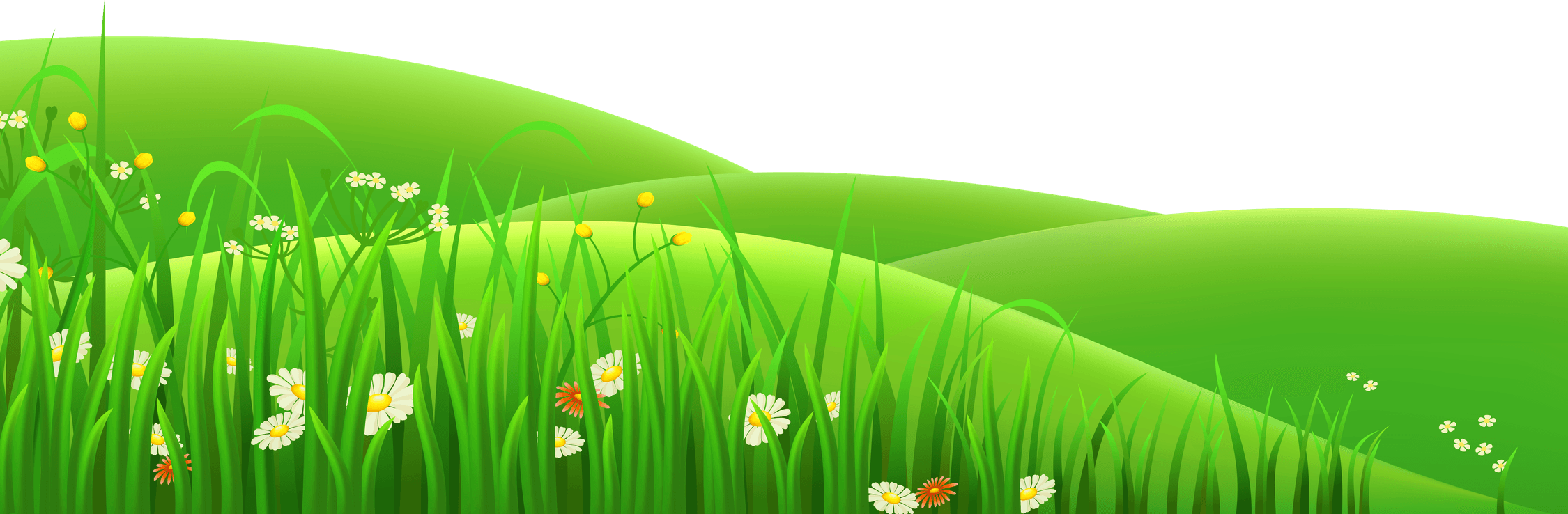 Lawn PNG