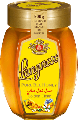 Bee Honey PNG