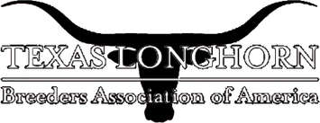 Longhorn PNG