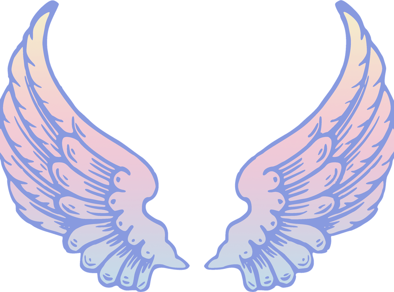 Cartoon Wings PNG