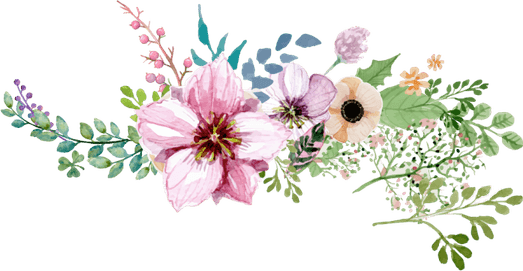 Jasmine Flower Border PNG