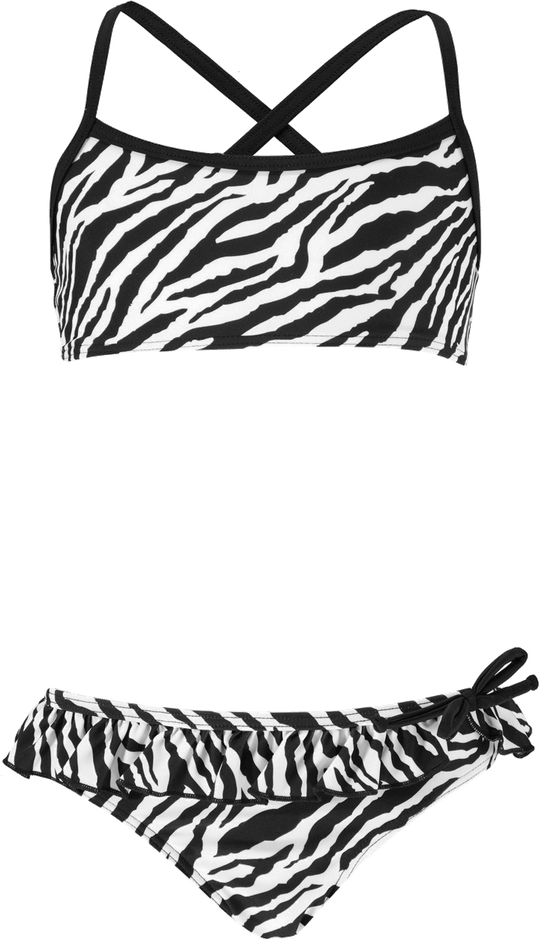 Animal Print Swimsuit PNG