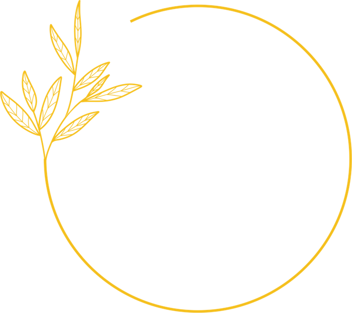 Leaf Circle PNG
