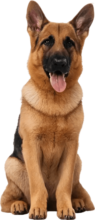 Security Dog PNG