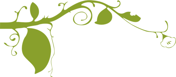 Plant Border PNG