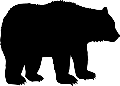 Sloth Bear PNG