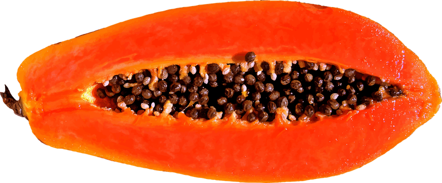 Papaya PNG