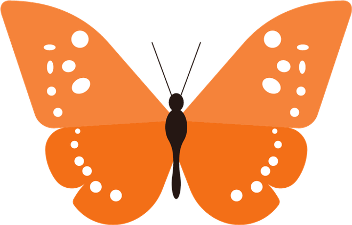 Orange Butterfly PNG