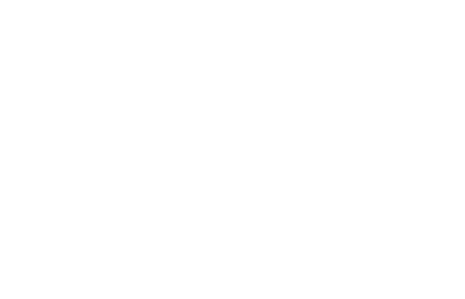Modelo Logo PNG