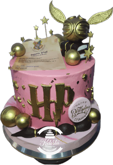Harry Potter Birthday Cake PNG