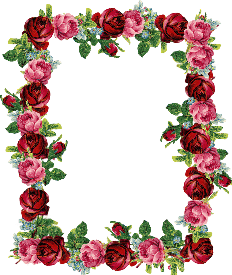 Rose Frame PNG